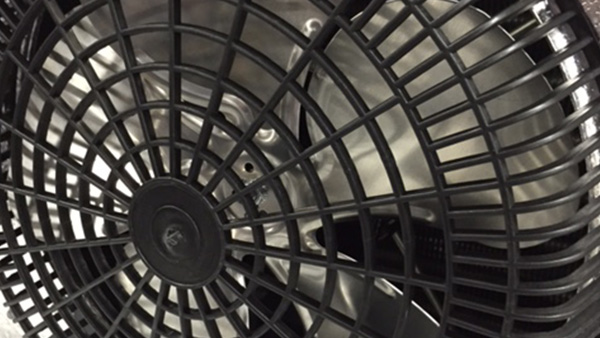 Evaporator Fans
